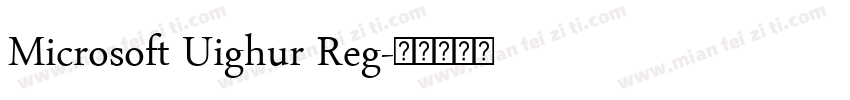 Microsoft Uighur Reg字体转换
